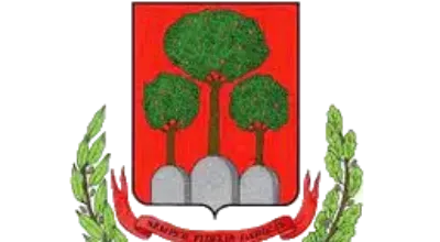 Logo Davoli